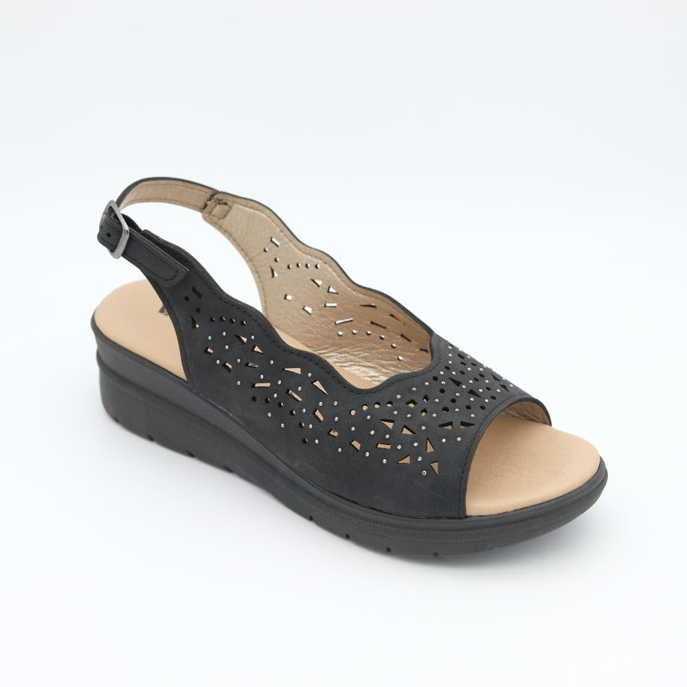 01883_1|433be06e55d4797f42029d34bf768d51